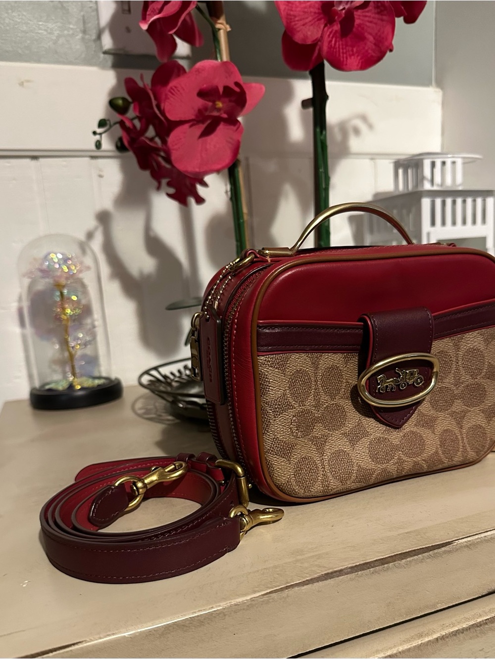 🌺 Coach Riley Lunchbox - Red/Signature - Picture 2 of 6